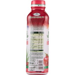 L'Angelica Vitermine, Aloe Vera 30% schwarze Karotte & Granatapfel, 500 ml