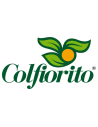 Colfiorito