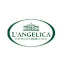 L'angelica