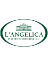 L'angelica