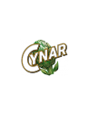 Cynar